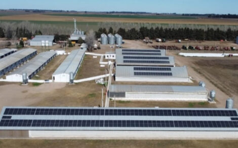Climatización solar porcina vista