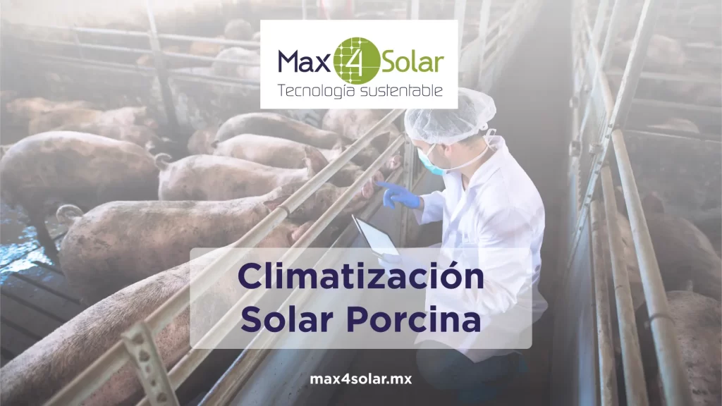 Climatización Solar Porcina