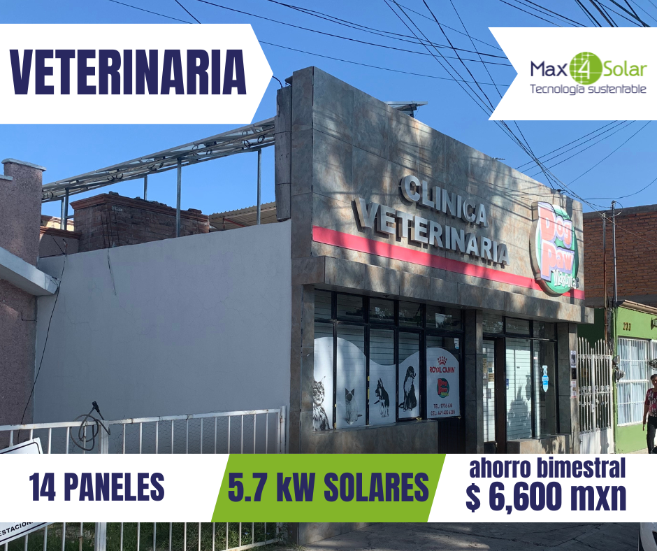 PANELES SOLARES PARA VETERINARIAS